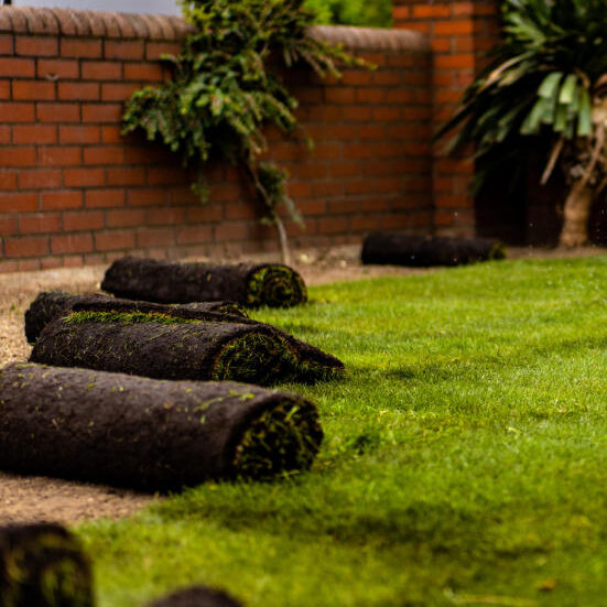 service-stump-turf-1 turf